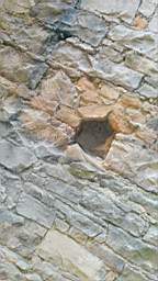 acastle
                          101055.jpg